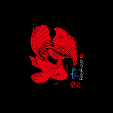观赏鱼养殖行业