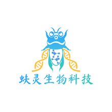蛛灵科技