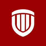 盾形力量