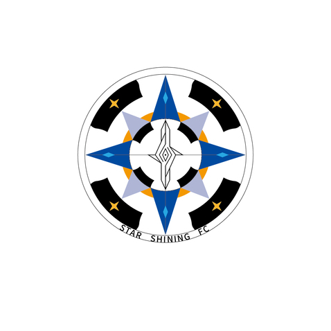 星盾领航logo设计