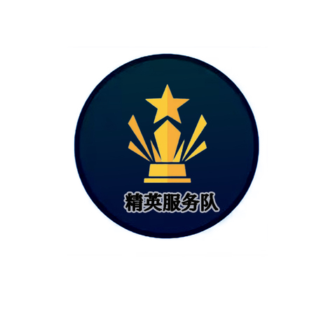 星耀优服logo设计