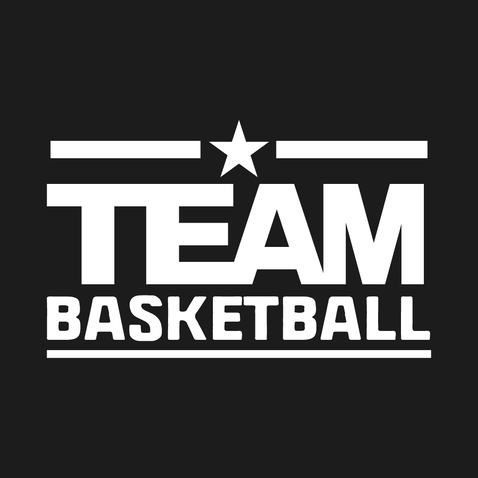 星跃篮队logo设计