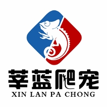 宠物服务