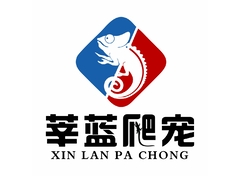宠物服务