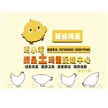 家禽养殖