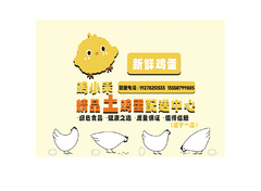 家禽養殖