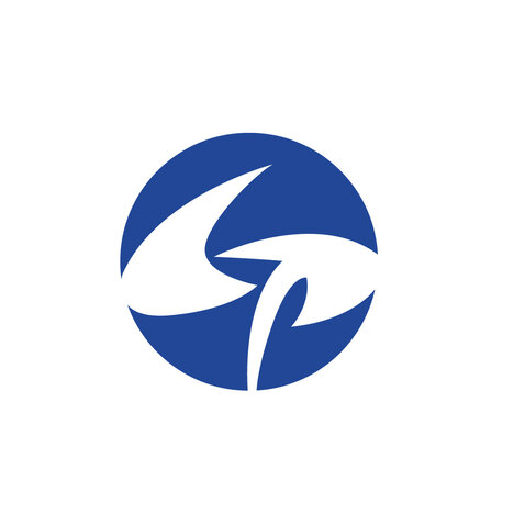 航空运输行业logo设计
